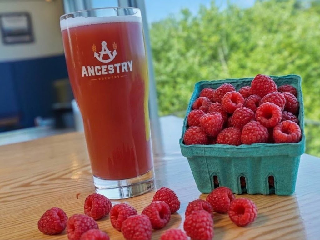 A pint of Raspberry Wheat with fresh raspberries